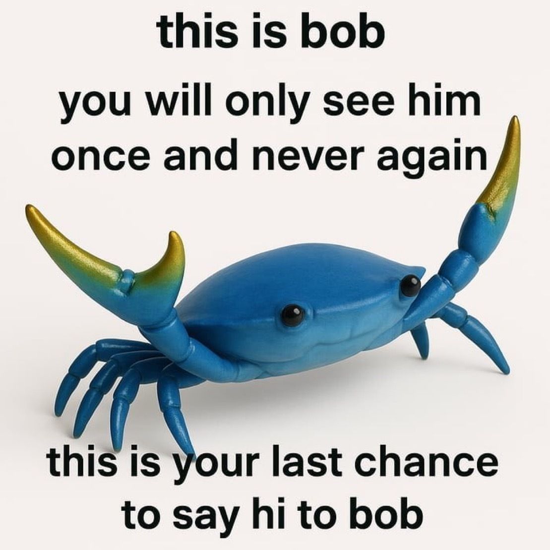 This is bob, you will only see him once and never again, this is your last chance to say hi to bob
